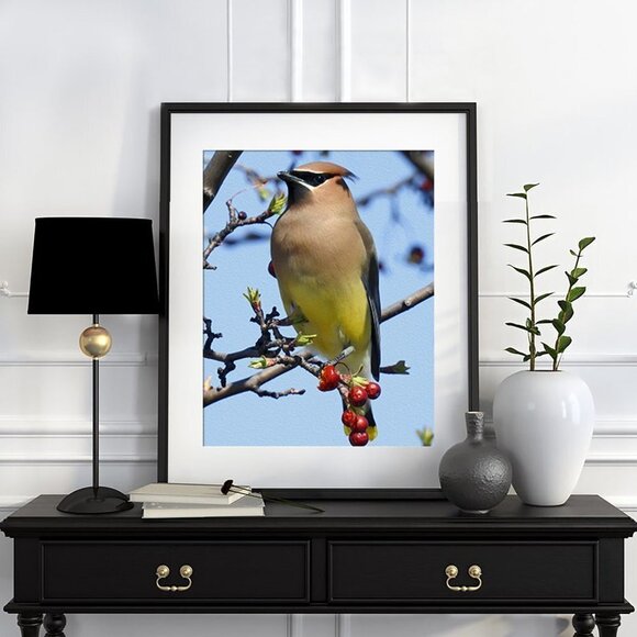 8x10 Cedar Waxwing Bird Photography Print Nature Photography - Picture 1 of 3